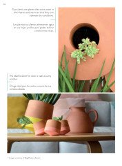 GO GREEN – Plants make People Happy (Evlerde Bitki Alanları)