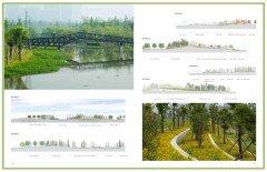 Sponge Cities - SÜNGER ŞEHİRLER (Sürdürülebilir Drenaj Sistemleri)